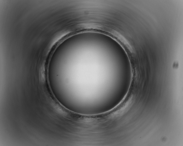X0000103310782200808291428