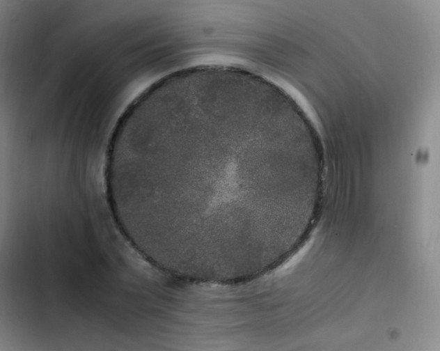 X0000103310783200808291428