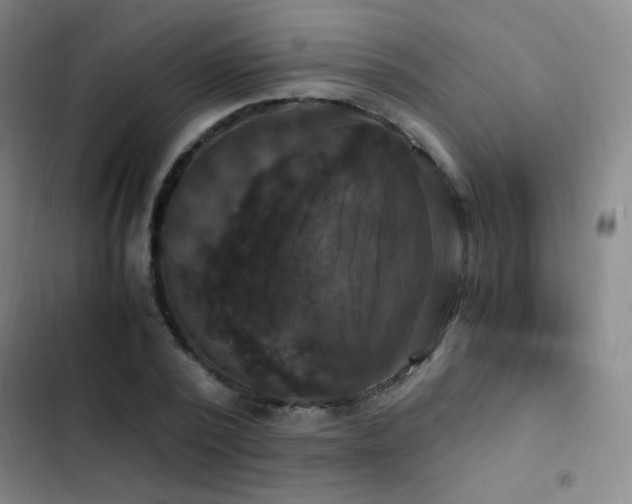 X0000103310784200808291428