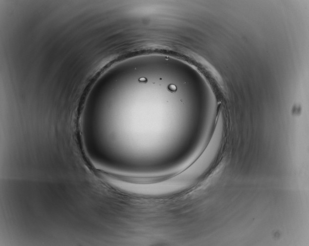 X0000103310785200808291428