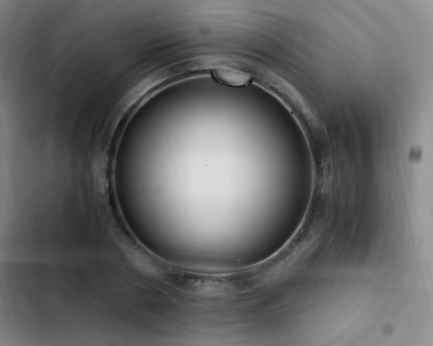 X0000103310786200808291428