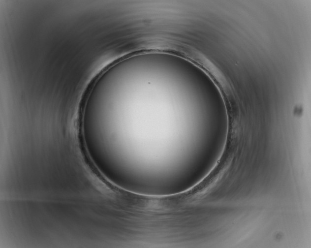 X0000103310787200808291428