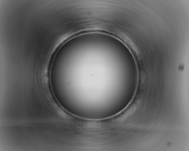 X0000103310789200808291428