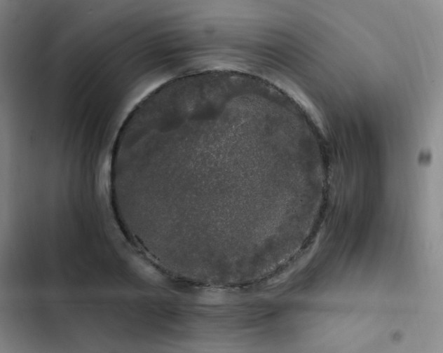 X0000103310790200808291428