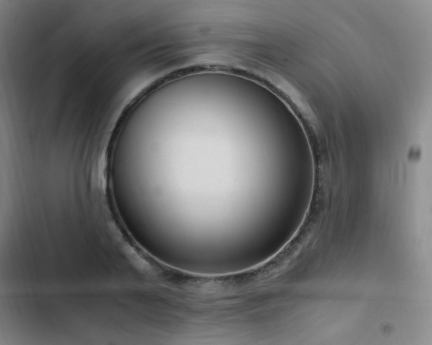 X0000103310791200808291428
