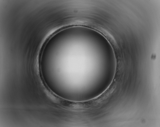 X0000103310792200808291428