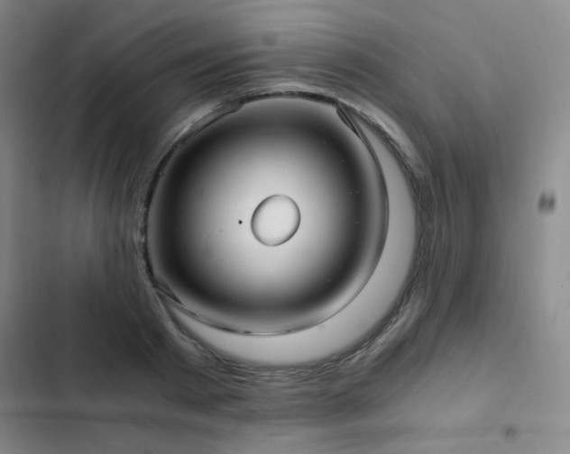 X0000103310793200808291428