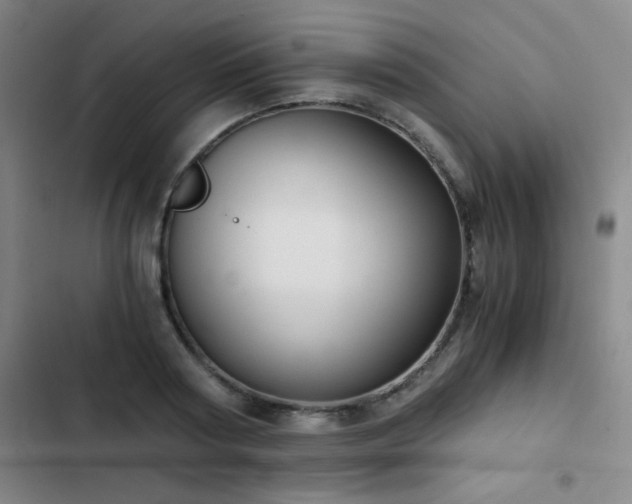X0000103310794200808291428