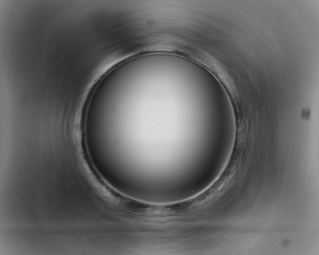X0000103310795200808291428