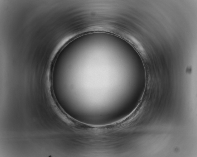X0000103310796200808291428