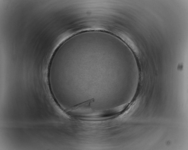 X0000103310797200808291428