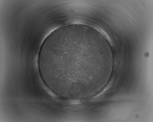 X0000103310798200808291428