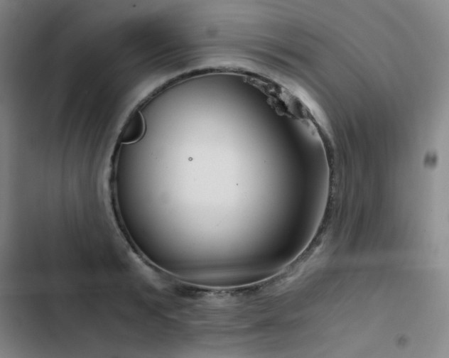X0000103310799200808291428
