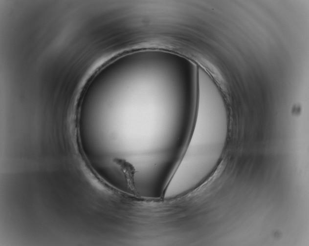 X0000103310800200808291428