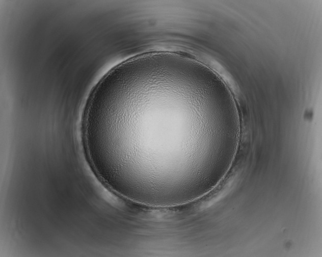 X0000103310803200808291428