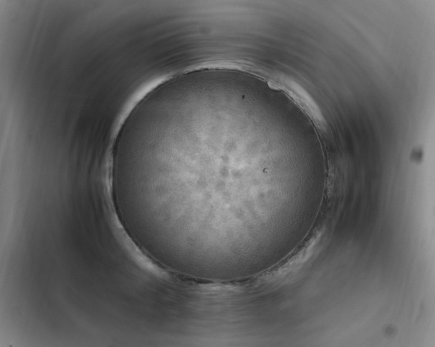 X0000103310804200808291428
