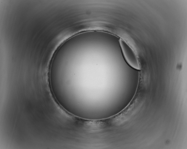 X0000103310805200808291428