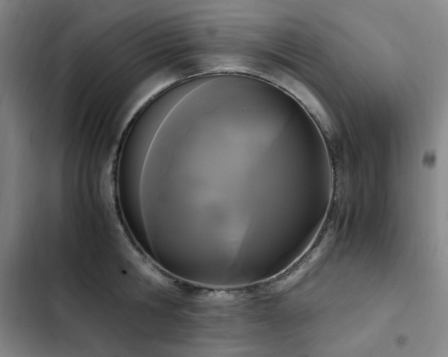 X0000103310806200808291428