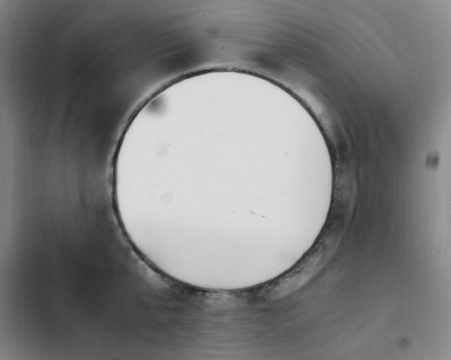 X0000103310807200808291428