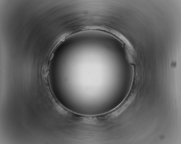 X0000103310809200808291427