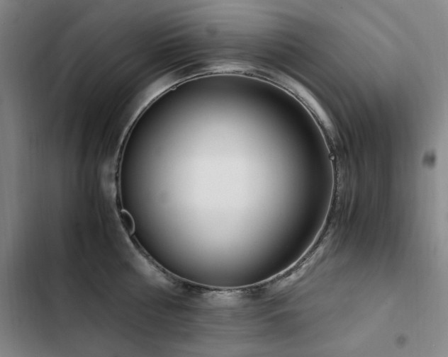 X0000103310810200808291427