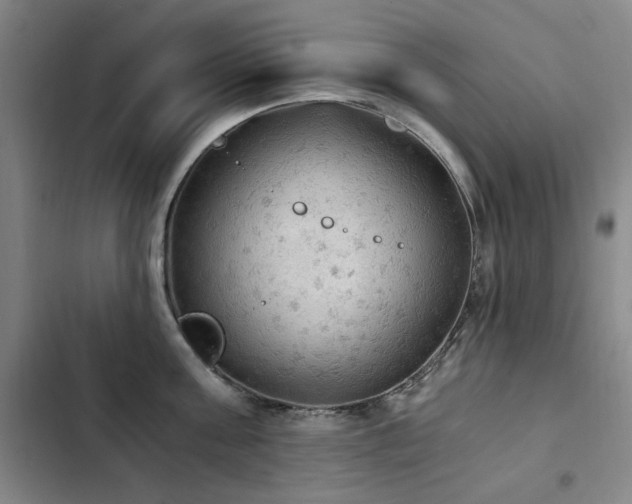 X0000103310811200808291427