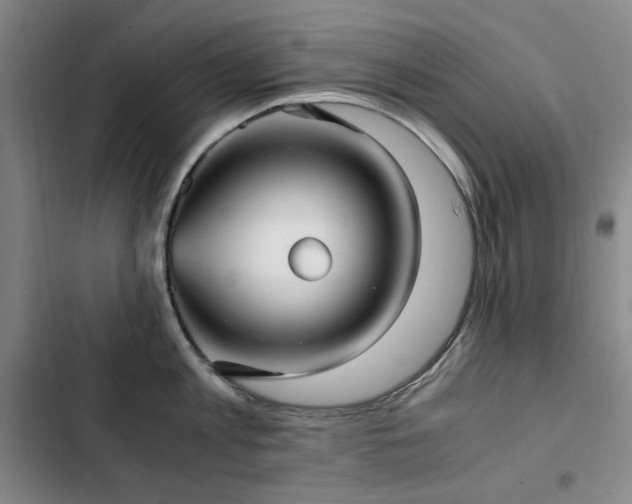 X0000103310813200808291427