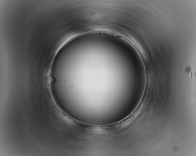 X0000103310814200808291427