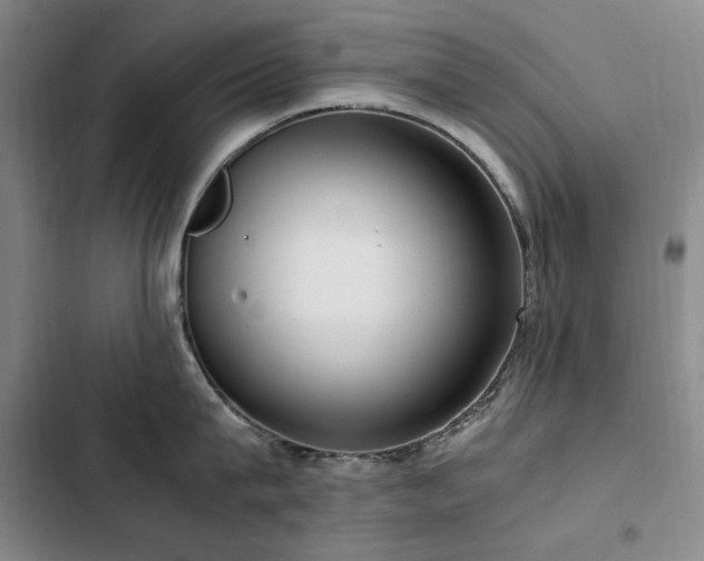X0000103310815200808291427