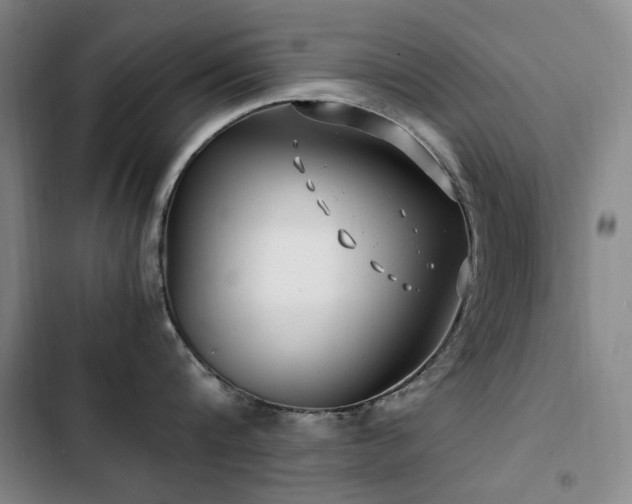 X0000103310816200808291427