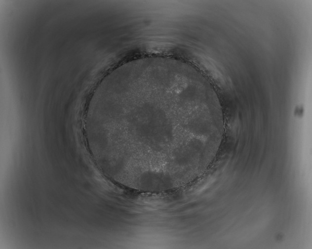 X0000103310817200808291427