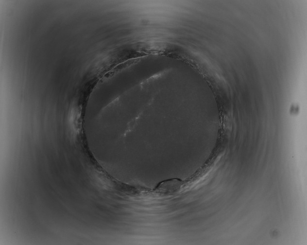 X0000103310818200808291427