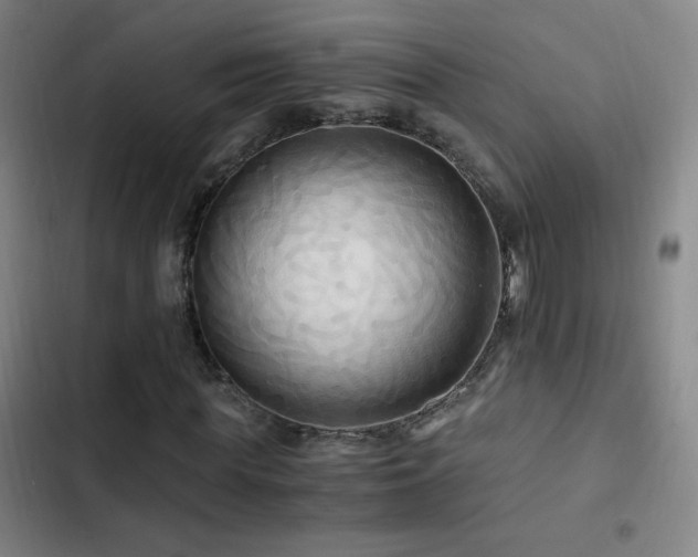 X0000103310819200808291427
