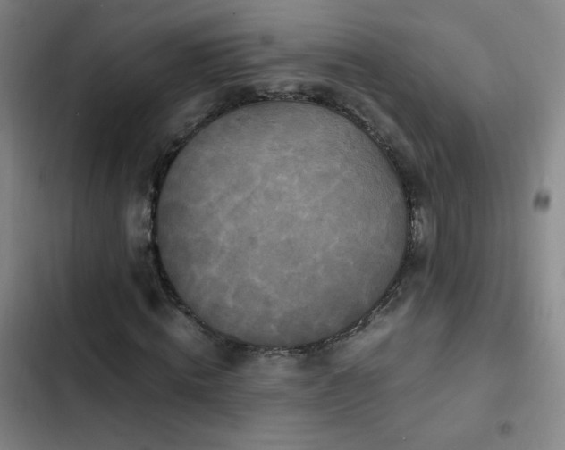 X0000103310820200808291427