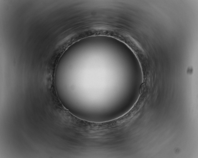 X0000103310821200808291427