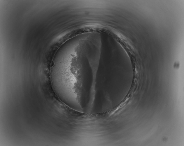 X0000103310822200808291427