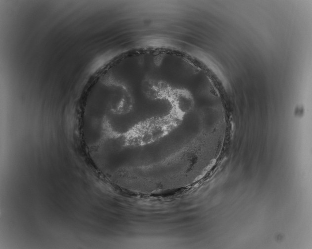 X0000103310823200808291427