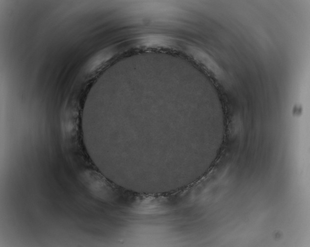 X0000103310824200808291427