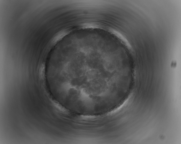 X0000103310825200808291427