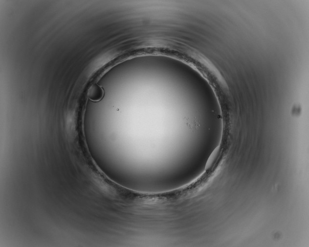 X0000103310826200808291427