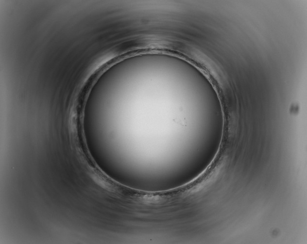 X0000103310827200808291427