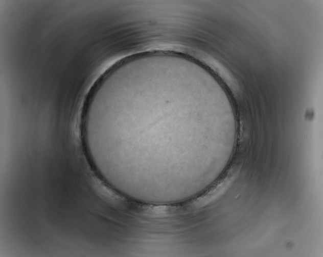 X0000103310828200808291427