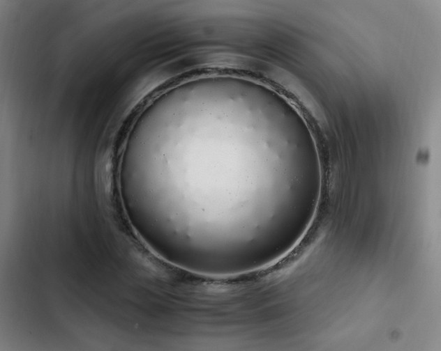 X0000103310829200808291427