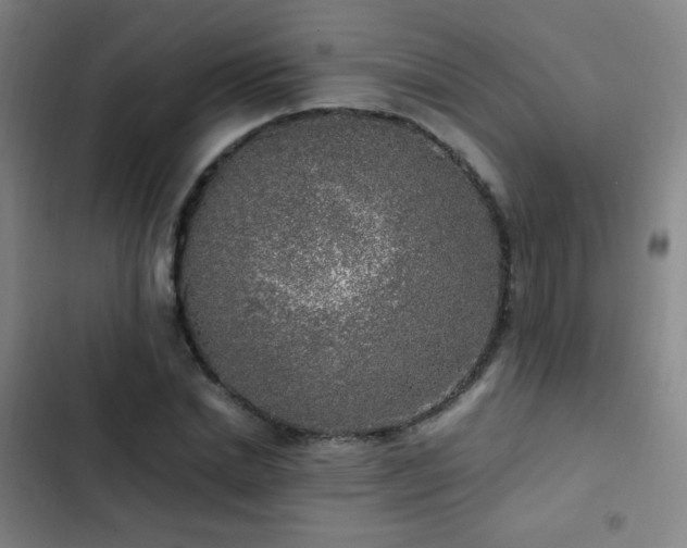 X0000103310830200808291427
