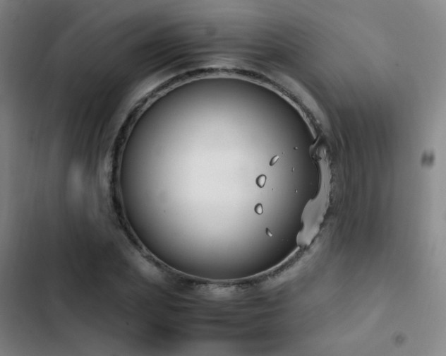 X0000103310831200808291427