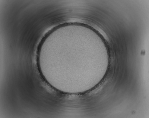 X0000103310832200808291427