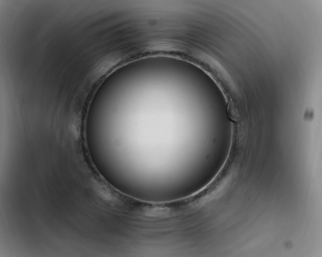 X0000103310833200808291427
