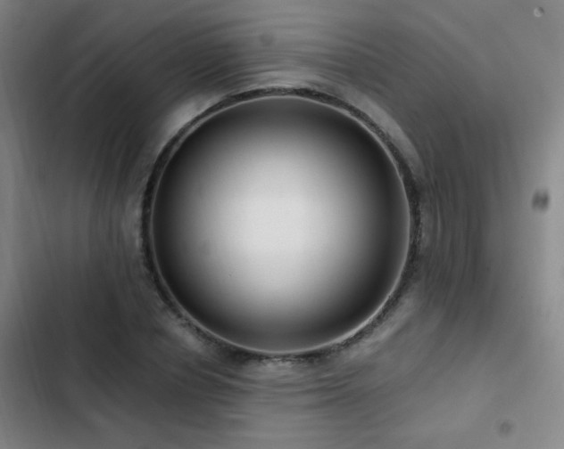X0000103310834200808291427