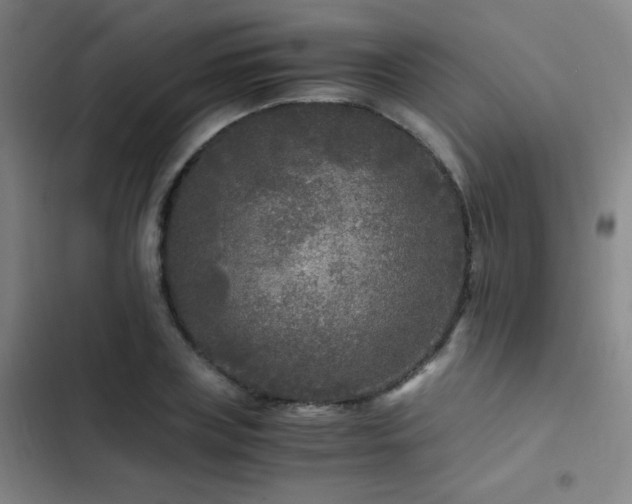 X0000103310835200808291427