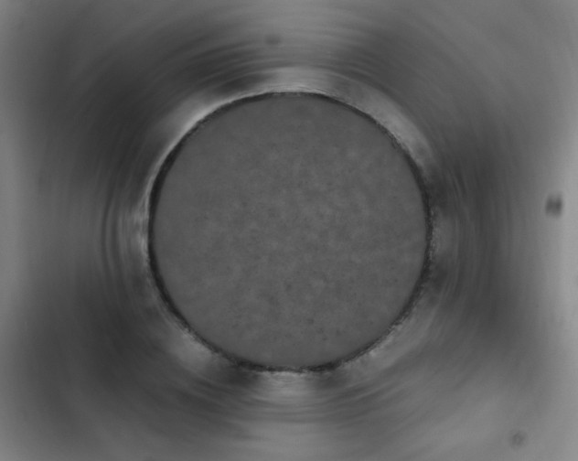 X0000103310836200808291427